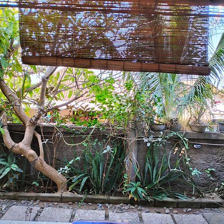 Dharma Yoga Homestay Amed  Bagian luar foto